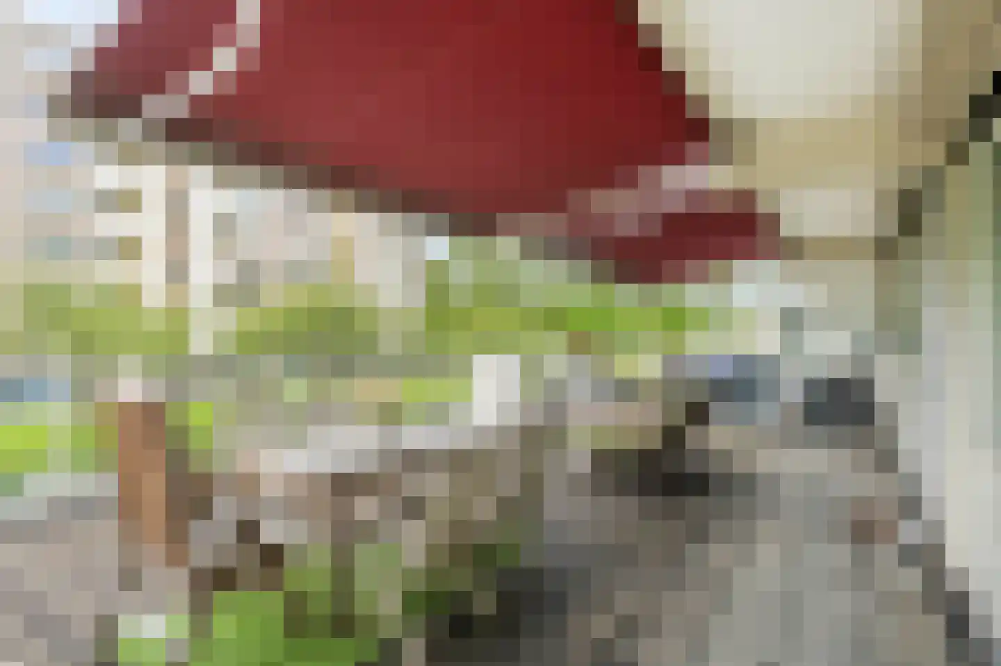 Suzannaland 420 Den Haag thumbnail 4