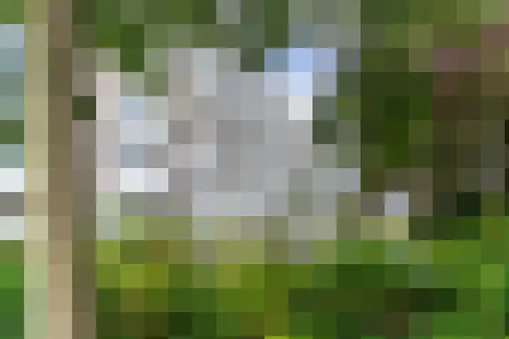 Suzannaland 584 Den Haag thumbnail 29