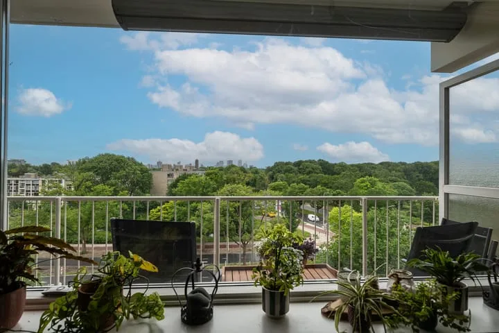 Suzannaland 88 Den Haag thumbnail 13