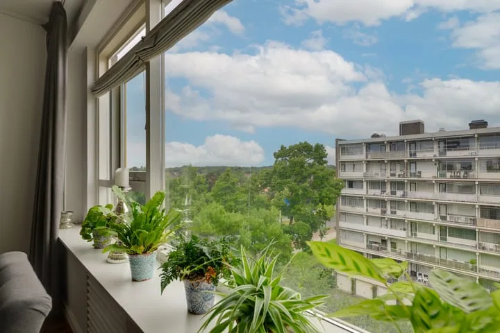 Suzannaland 88 Den Haag thumbnail 16