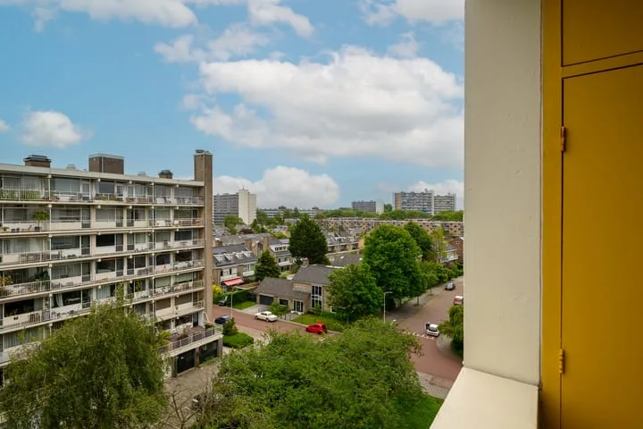Suzannaland 88 Den Haag thumbnail 23