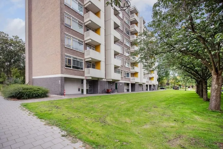 Suzannaland 88 Den Haag thumbnail 4