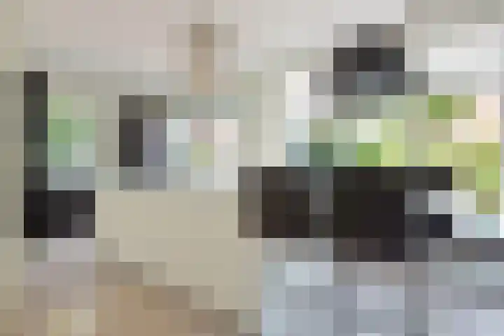 Suzannapolder 14 Amersfoort thumbnail 12