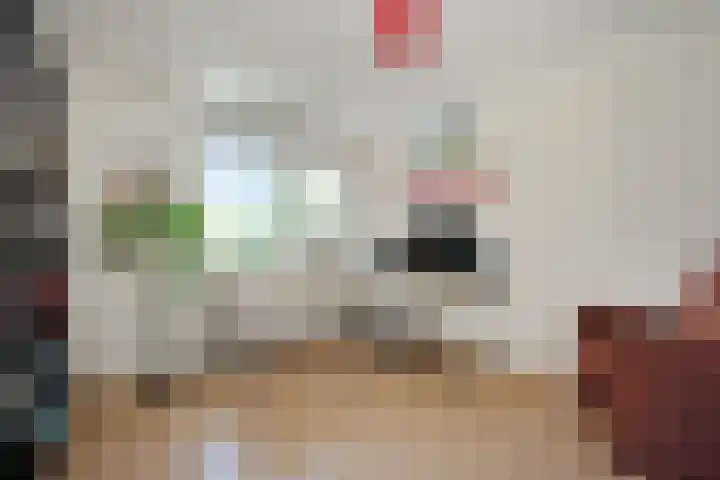Suzannapolder 14 Amersfoort thumbnail 28