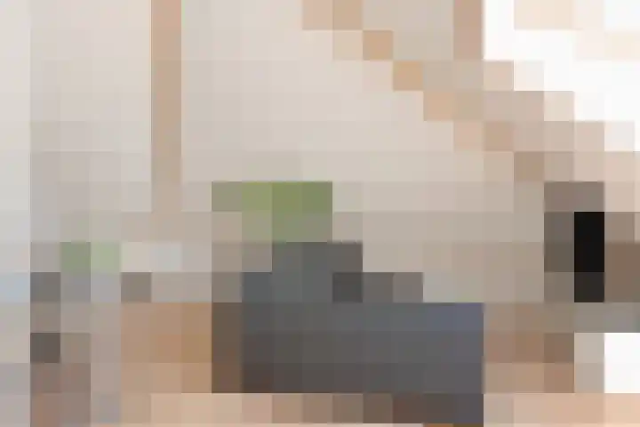 Suzannapolder 14 Amersfoort thumbnail 32