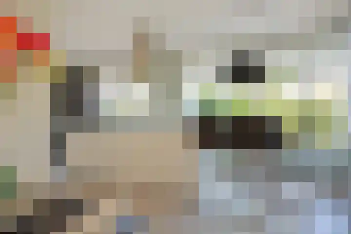 Suzannapolder 14 Amersfoort thumbnail 7