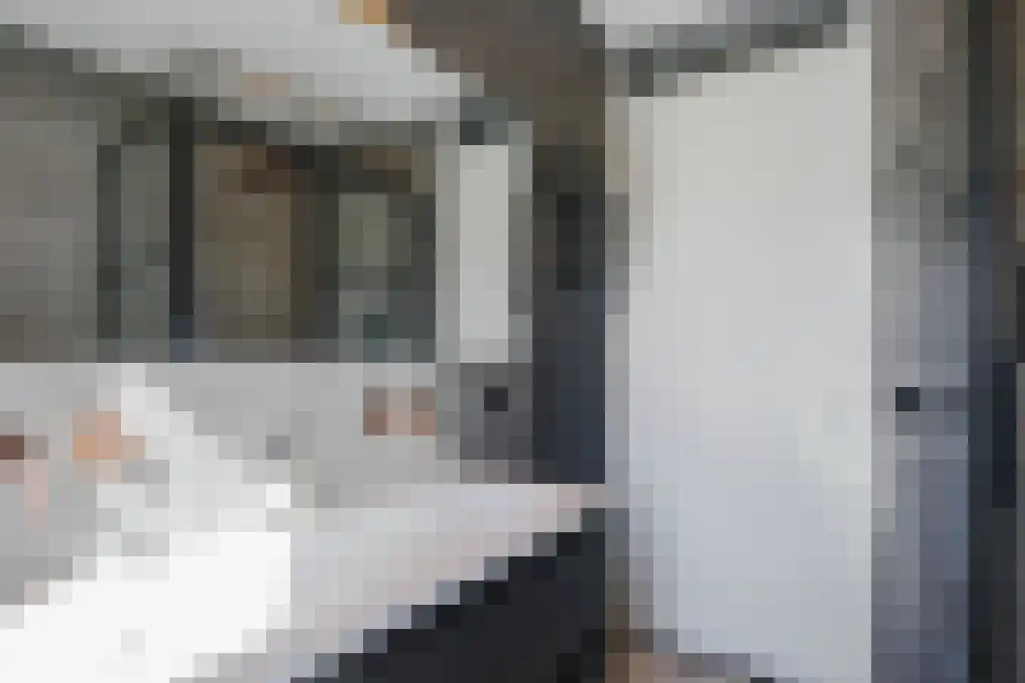Suzannapolder 3 Amersfoort thumbnail 41