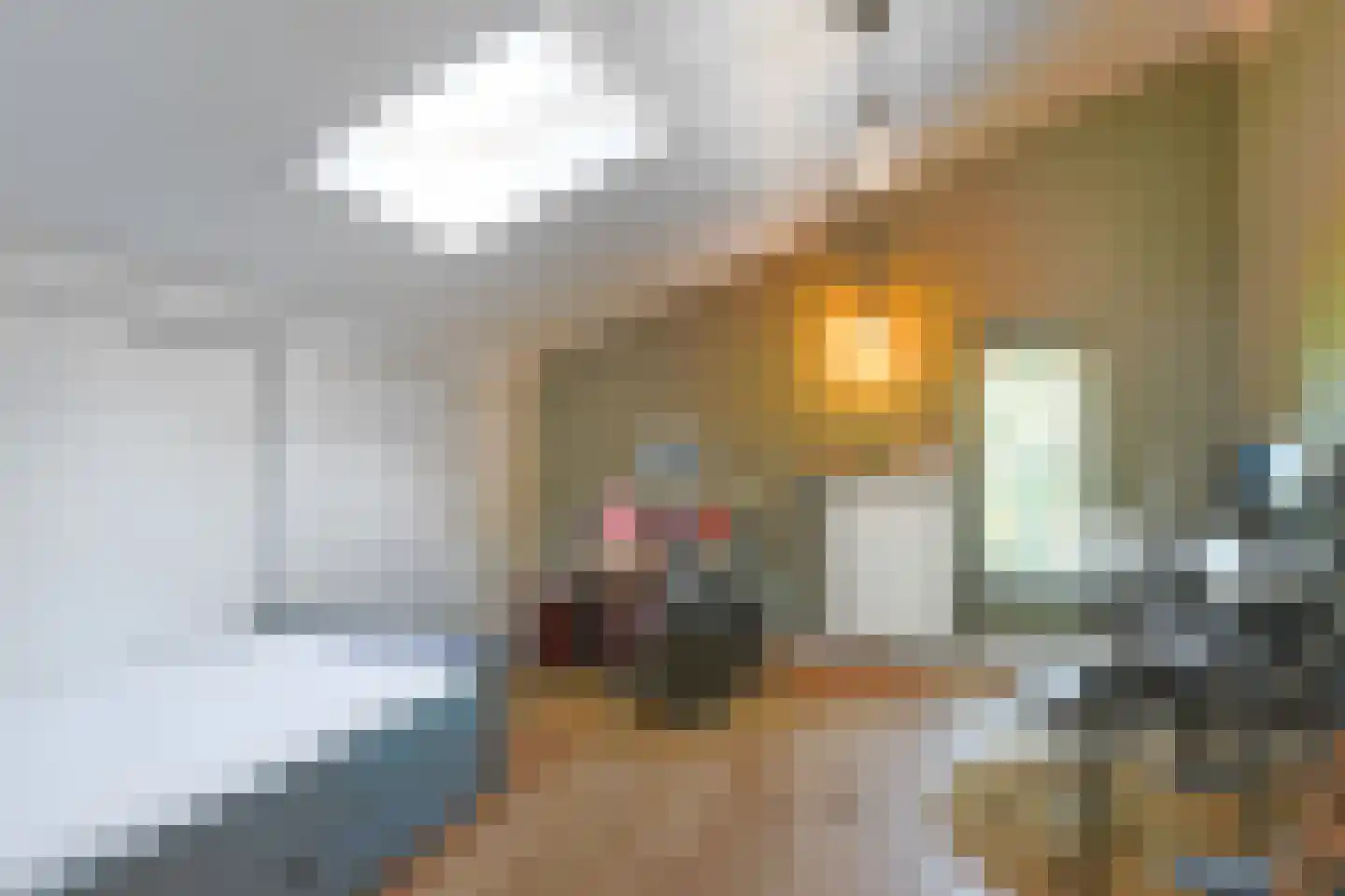 Suzannapolder 3 Amersfoort thumbnail 43