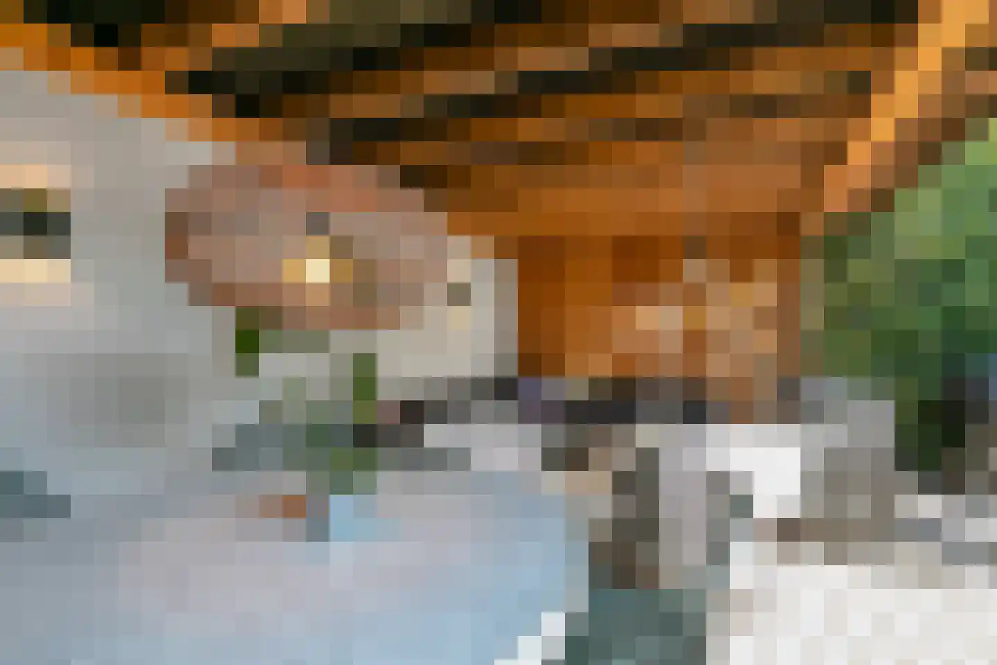 Suzannapolder 3 Amersfoort thumbnail 64