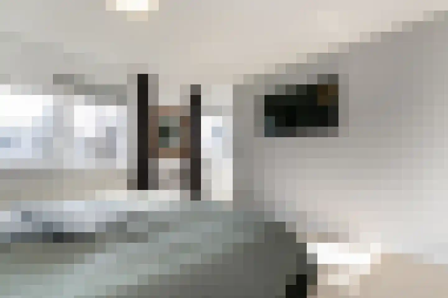 Suzannapolder 36 Amersfoort thumbnail 29