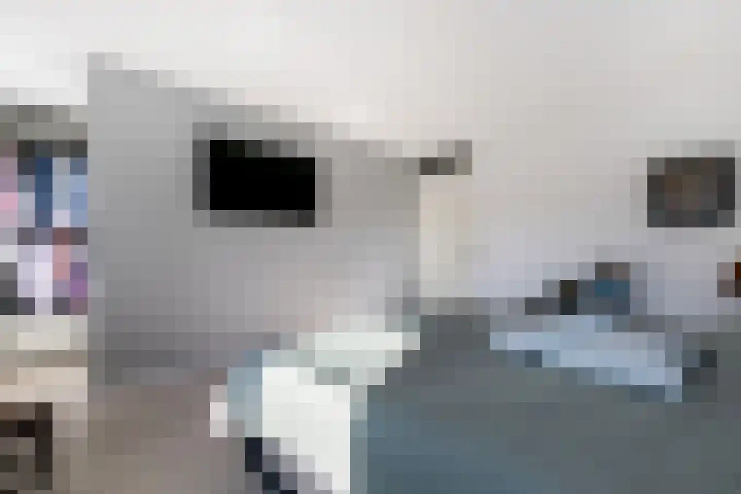 Suzannapolder 36 Amersfoort thumbnail 30