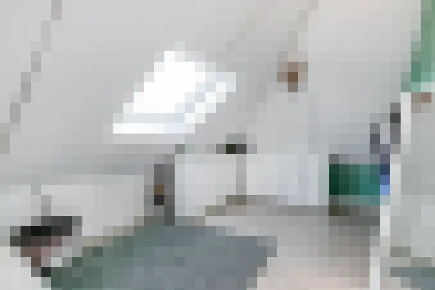 Suzannapolder 36 Amersfoort thumbnail 48