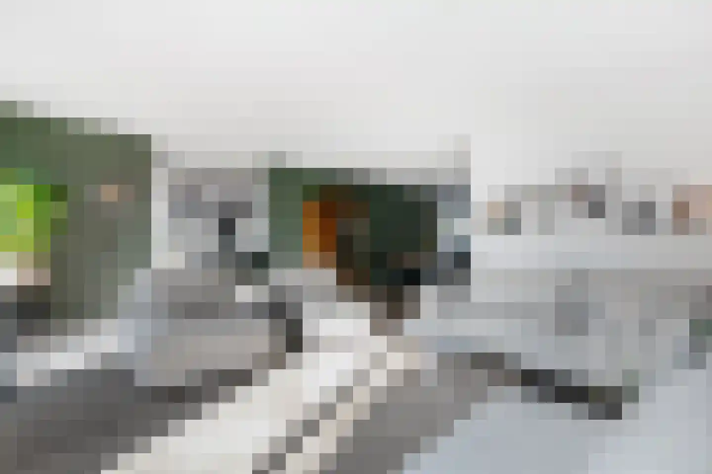Suzannapolder 36 Amersfoort thumbnail 9