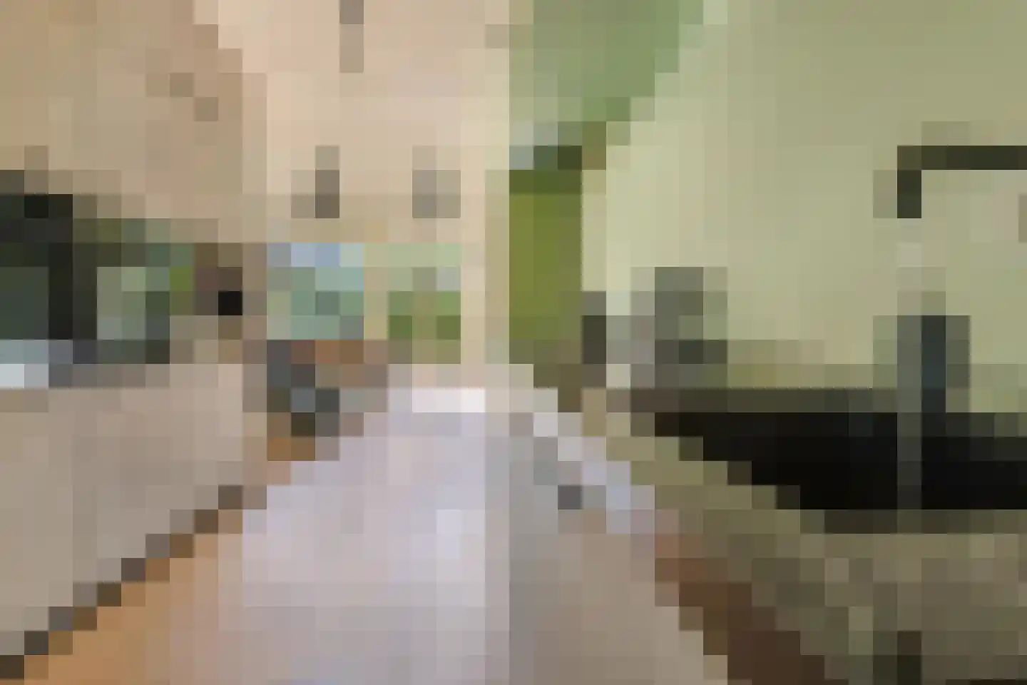 Suzannapolder 9 Amersfoort thumbnail 10