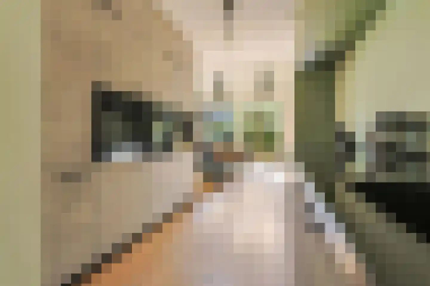 Suzannapolder 9 Amersfoort thumbnail 12