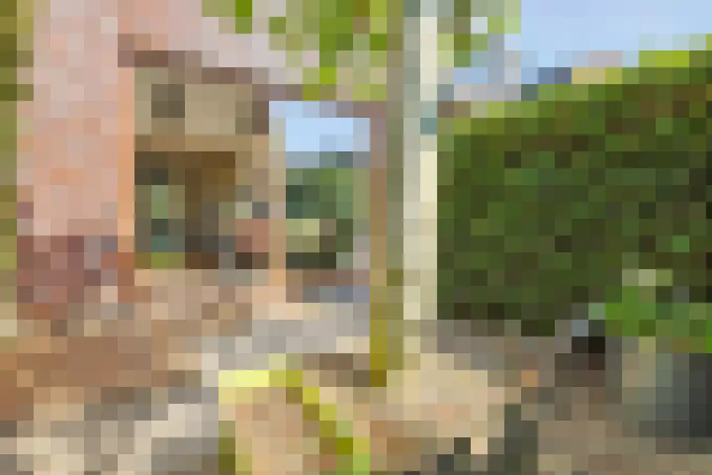 Suzannapolder 9 Amersfoort thumbnail 15
