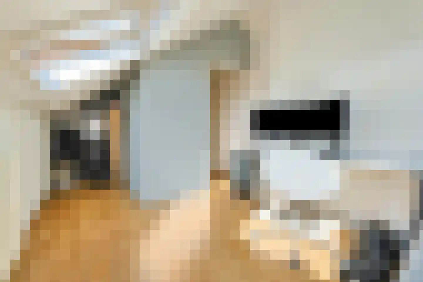 Suzannapolder 9 Amersfoort thumbnail 32