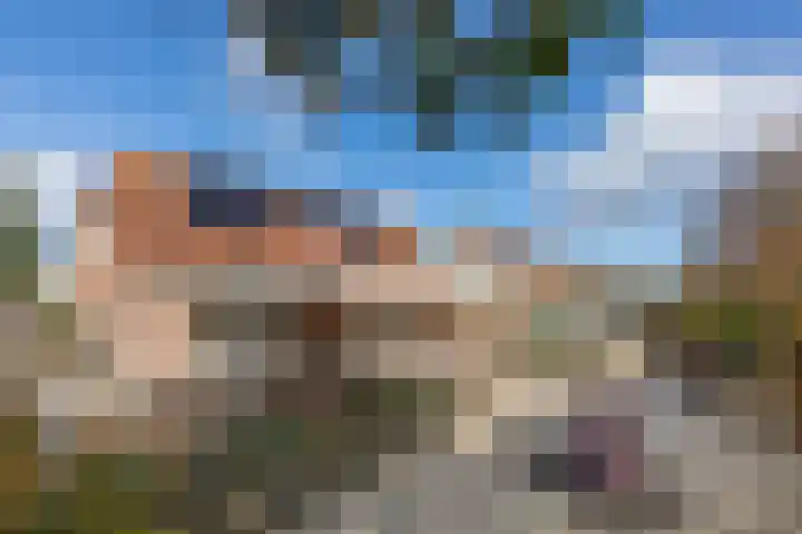 Foto von Suzanne Boer