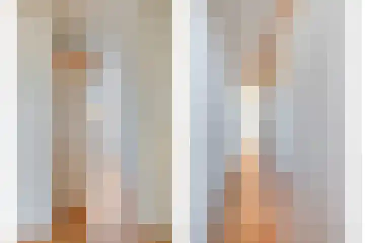 Suze Baarthof 18 Leiden thumbnail 18