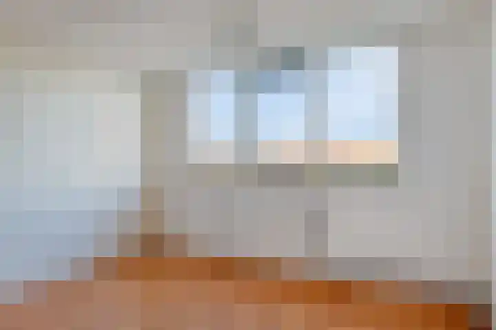 Suze Baarthof 18 Leiden thumbnail 19