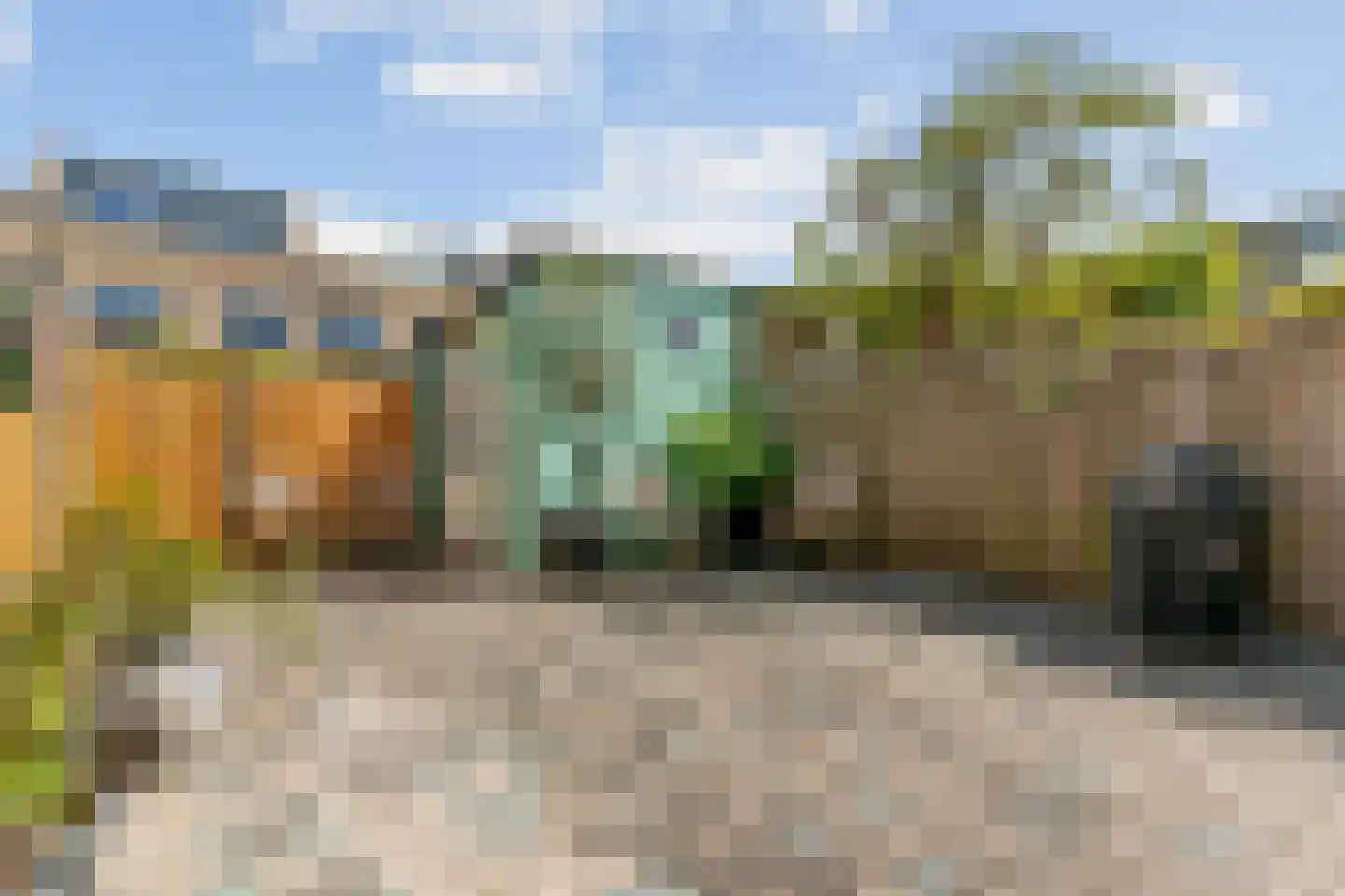 Suze Baarthof 5 Leiden thumbnail 36