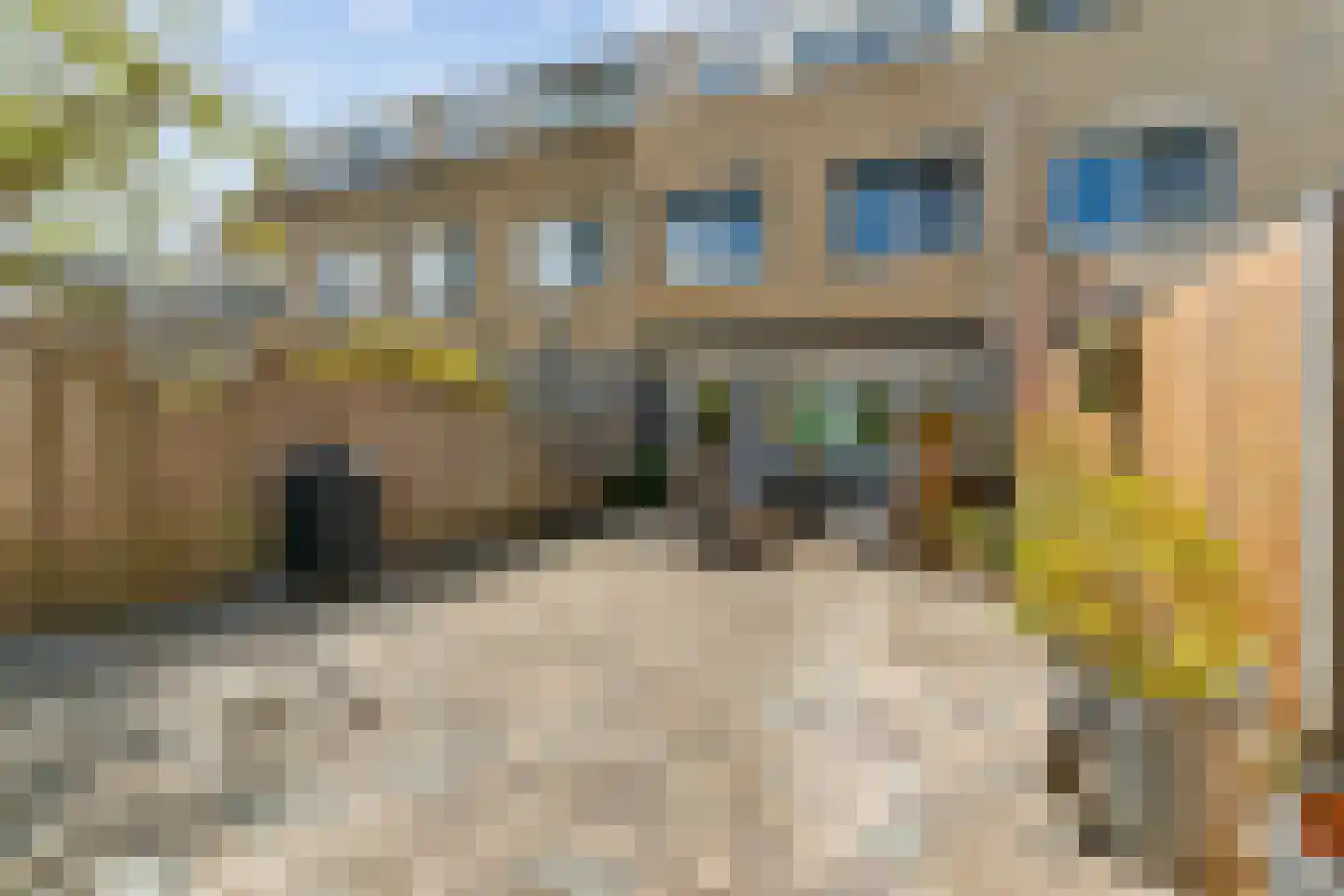 Suze Baarthof 5 Leiden thumbnail 38