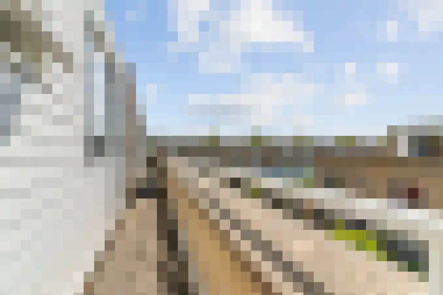 Suze Baarthof 5 Leiden thumbnail 47