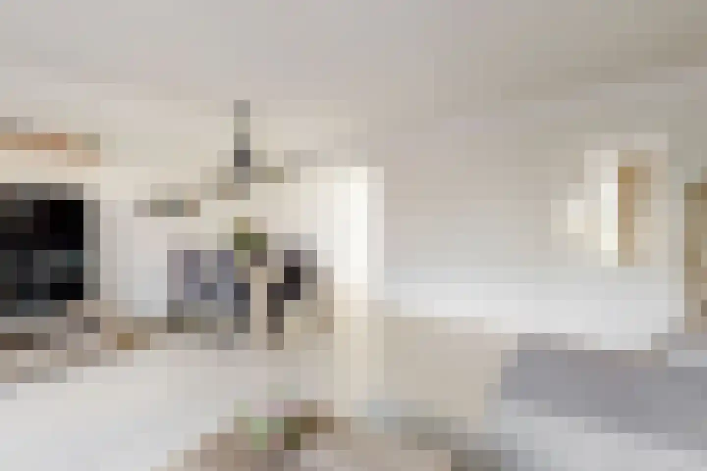 Suze Baarthof 5 Leiden thumbnail 8
