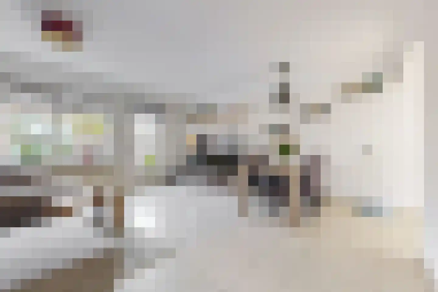 Suze Baarthof 5 Leiden thumbnail 9