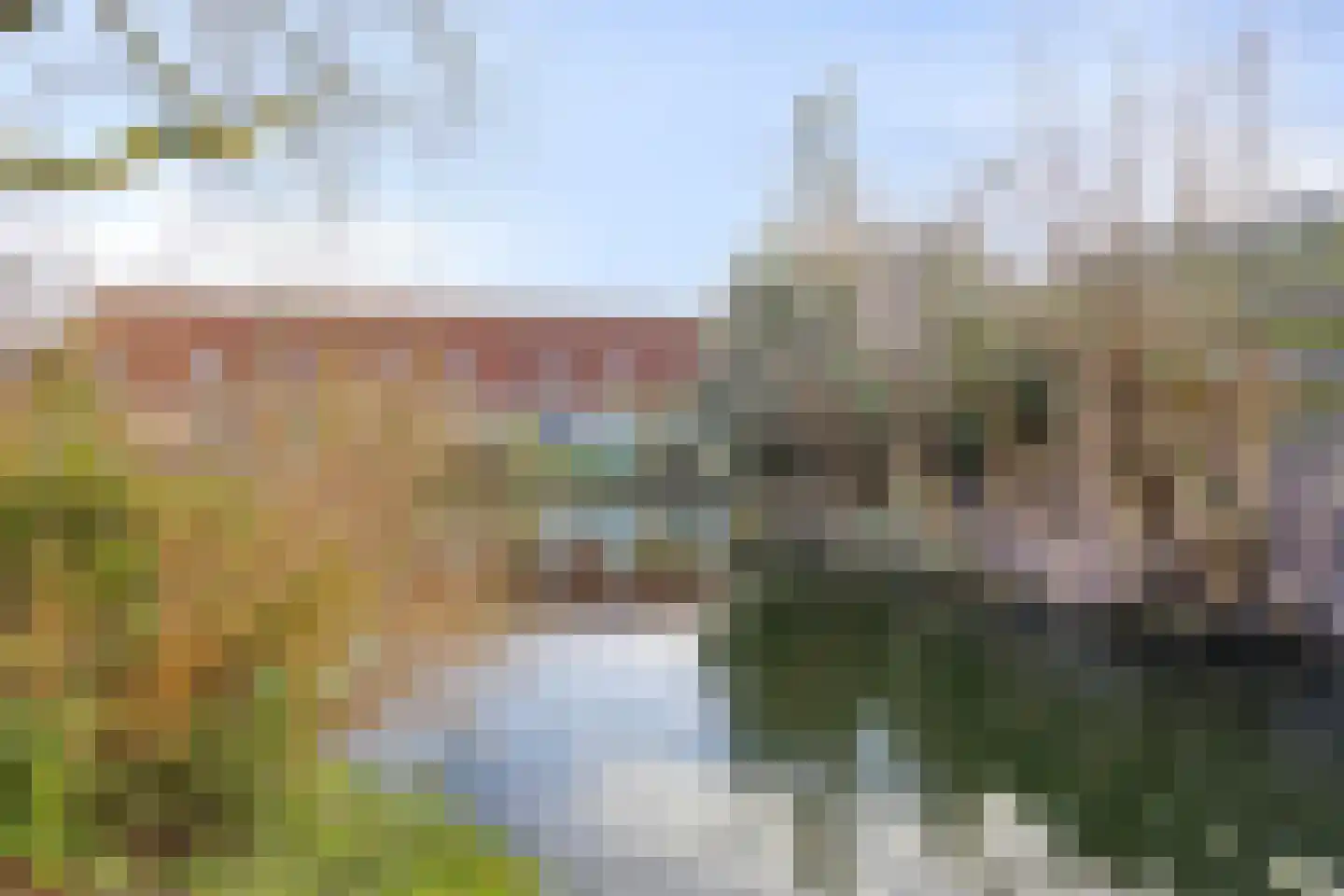 Suze Groeneweg-erf 261 Dordrecht thumbnail 28