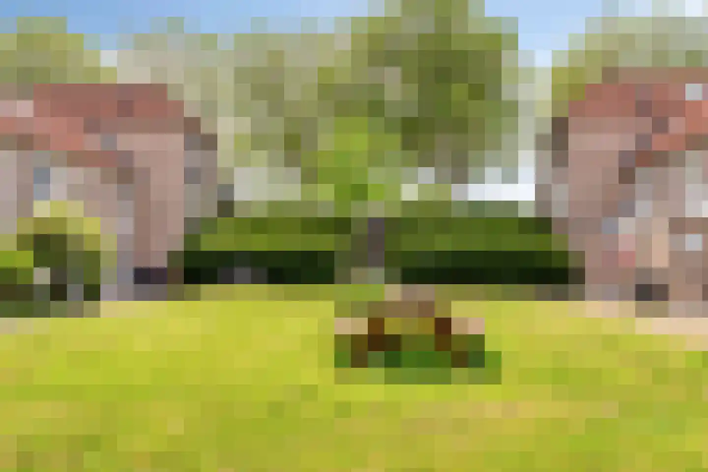 Suze Groeneweg-erf 309 Dordrecht thumbnail 37