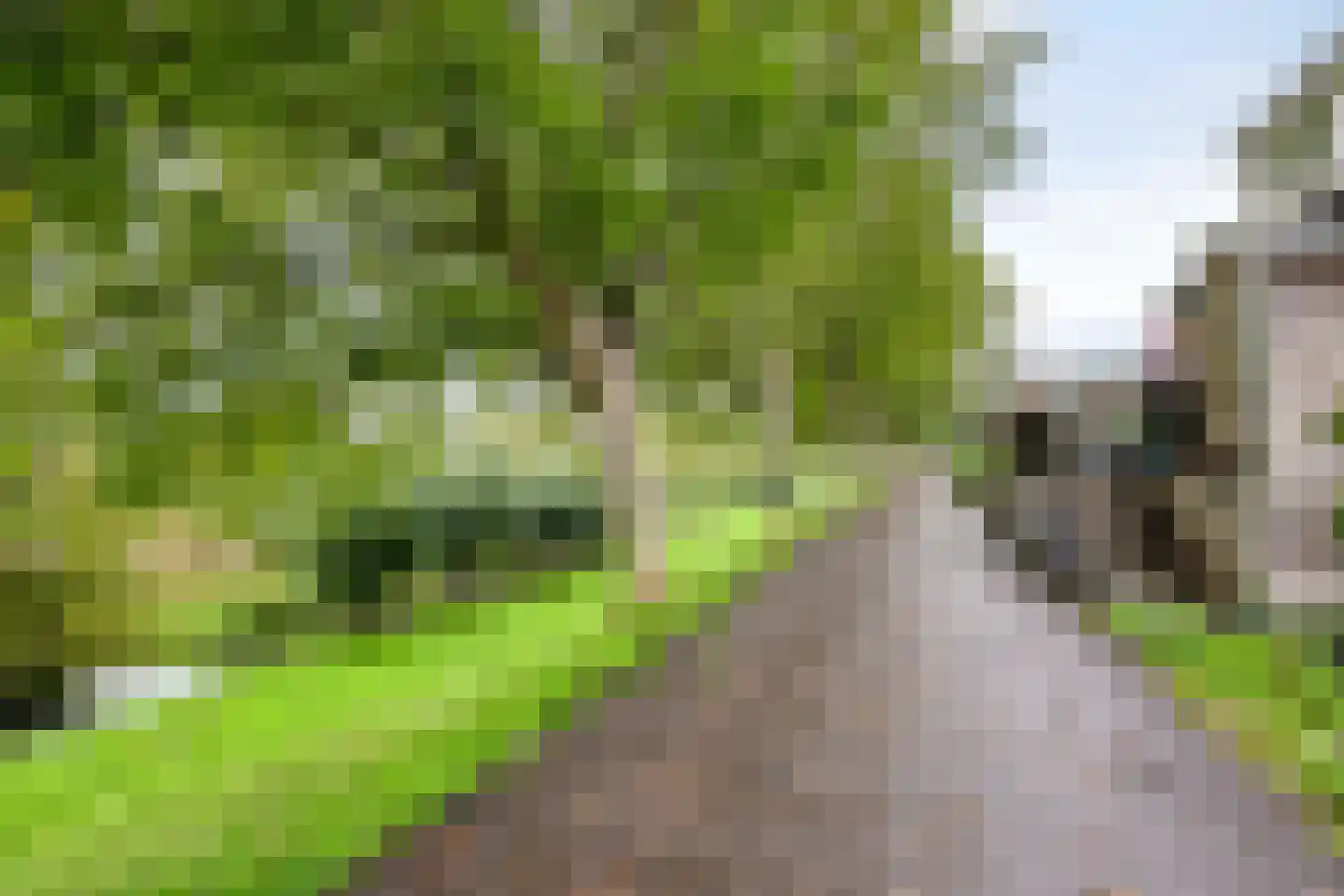 Suze Groeneweg-erf 329 Dordrecht thumbnail 33