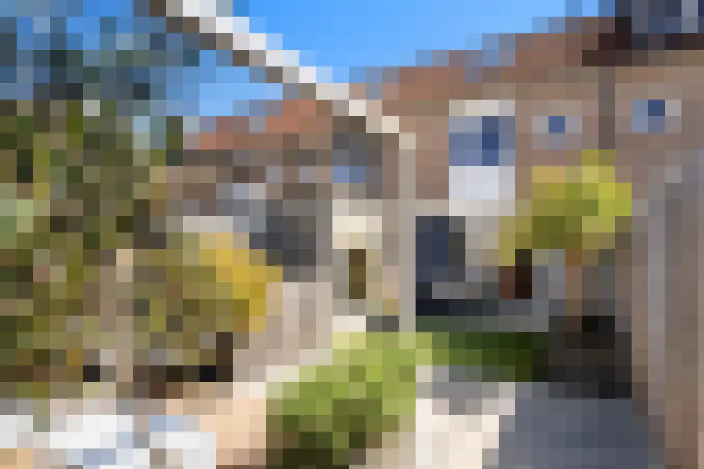 Suze Groeneweg-erf 360 Dordrecht thumbnail 28