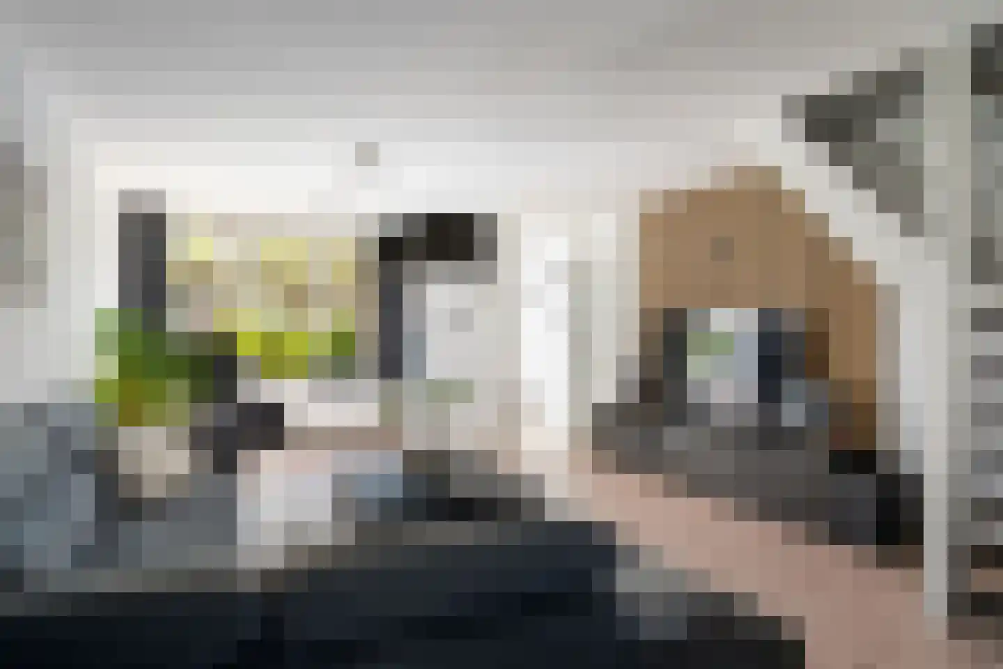 Suze Groeneweg-erf 360 Dordrecht thumbnail 6