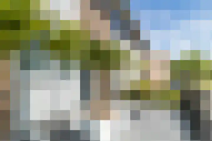 Suze Groeneweg-erf 374 Dordrecht thumbnail 6
