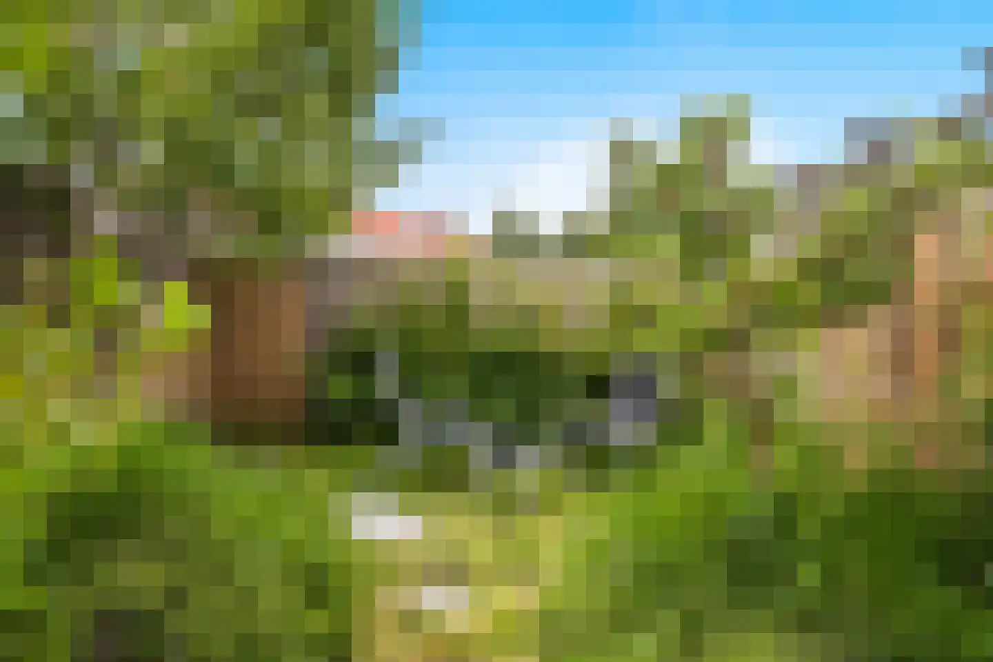 Suze Groeneweg-erf 384 Dordrecht thumbnail 5