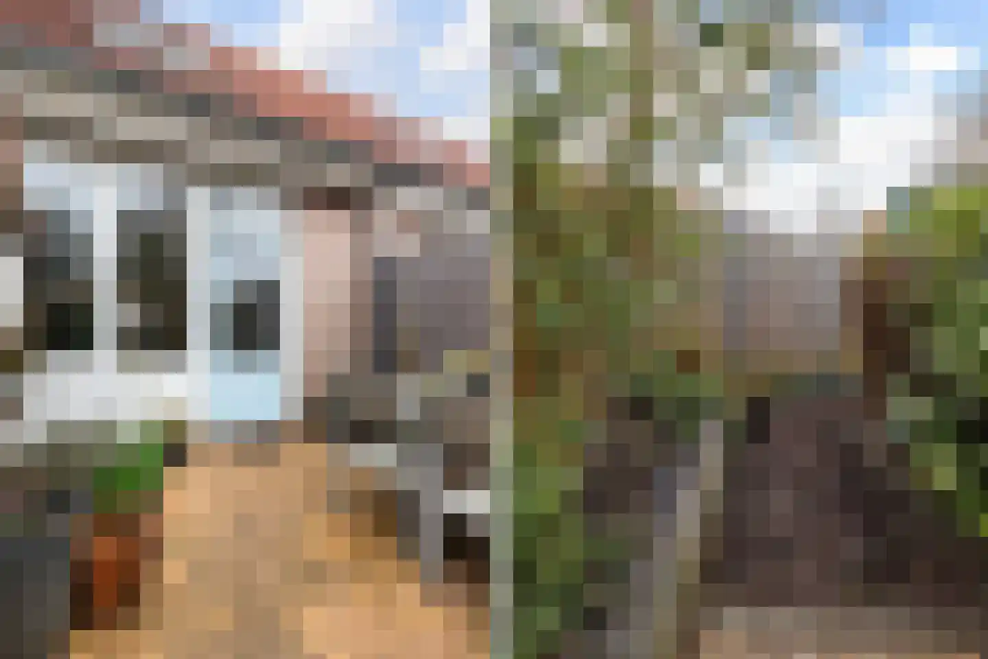 Suze Groeneweg-erf 403 Dordrecht thumbnail 30