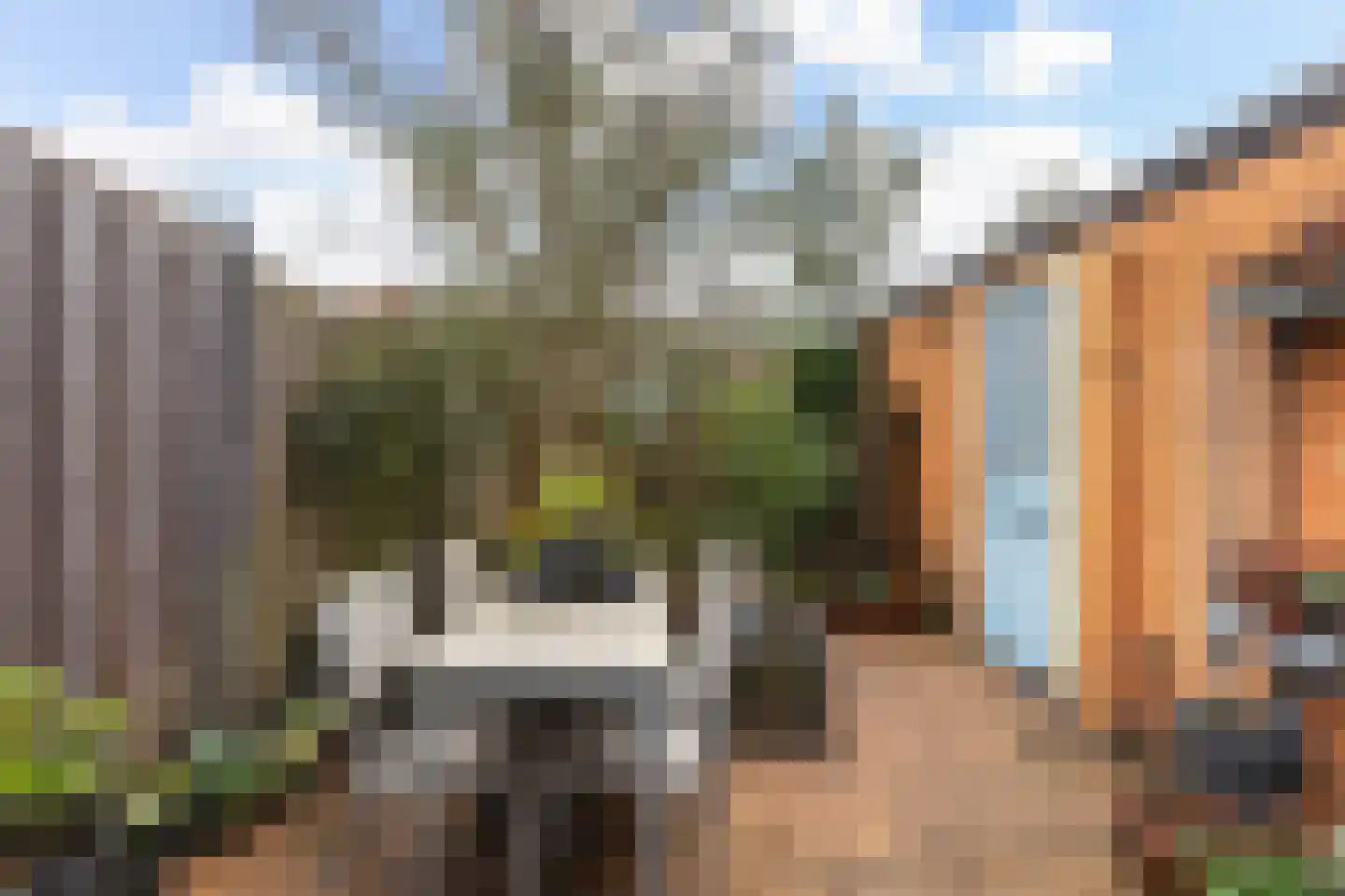 Suze Groeneweg-erf 403 Dordrecht thumbnail 5