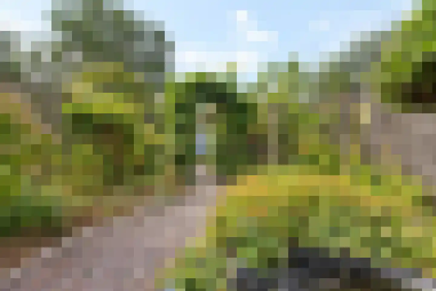 Suze Groenewegerf 17 Voorschoten thumbnail 37
