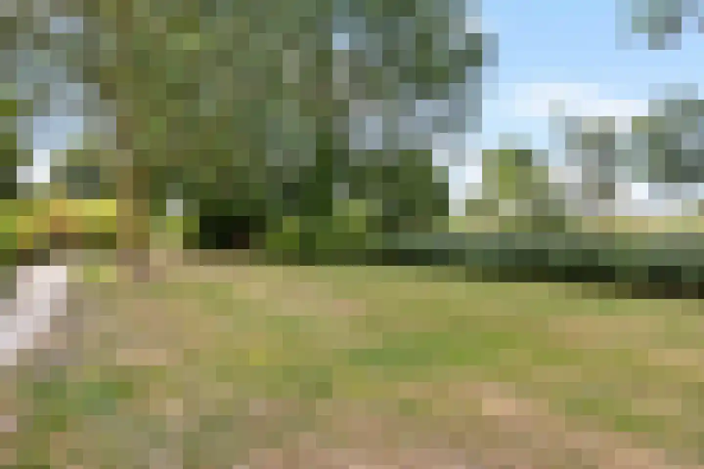Suze Groenewegerf 17 Voorschoten thumbnail 39
