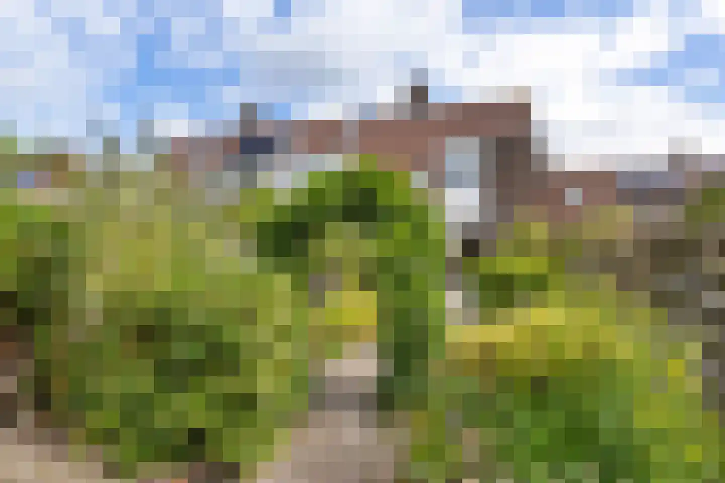 Suze Groenewegerf 17 Voorschoten thumbnail 40