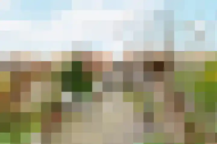 Suze Groeneweglaan 100 Vlissingen thumbnail 20