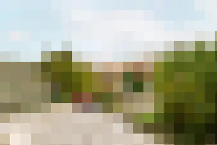 Suze Groeneweglaan 100 Vlissingen thumbnail 21