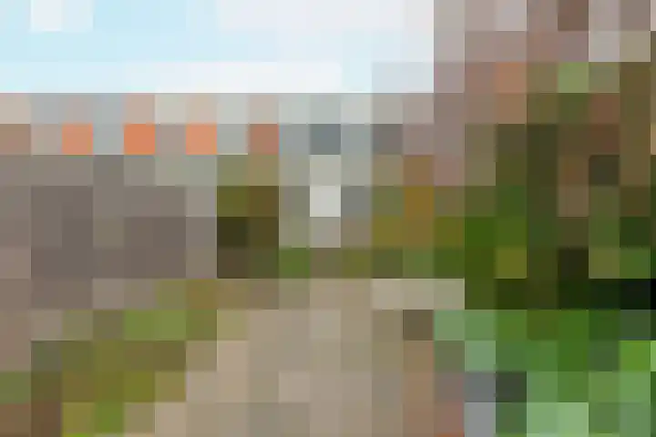Suze Groeneweglaan 100 Vlissingen thumbnail 22