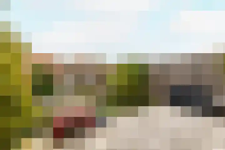 Suze Groeneweglaan 100 Vlissingen thumbnail 23