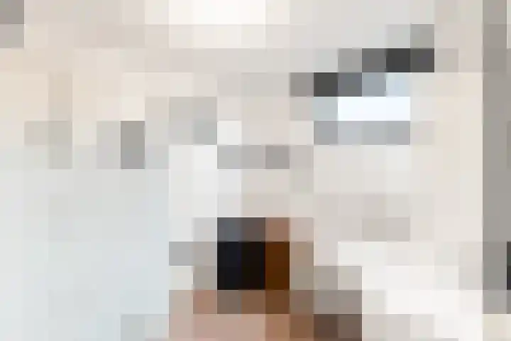 Suze Groeneweglaan 100 Vlissingen thumbnail 33