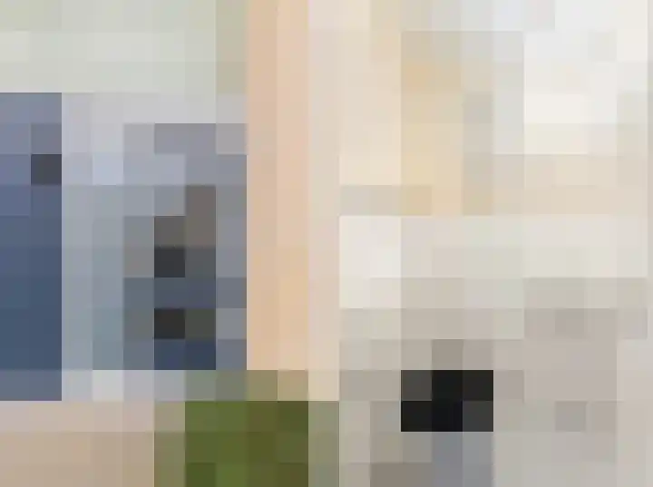 Suze Groeneweglaan 100 Vlissingen thumbnail 5