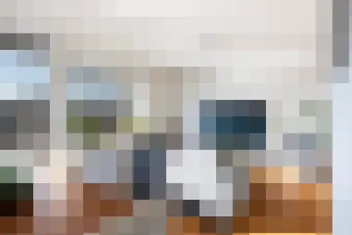 Suze Groeneweglaan 103 Rotterdam thumbnail 10