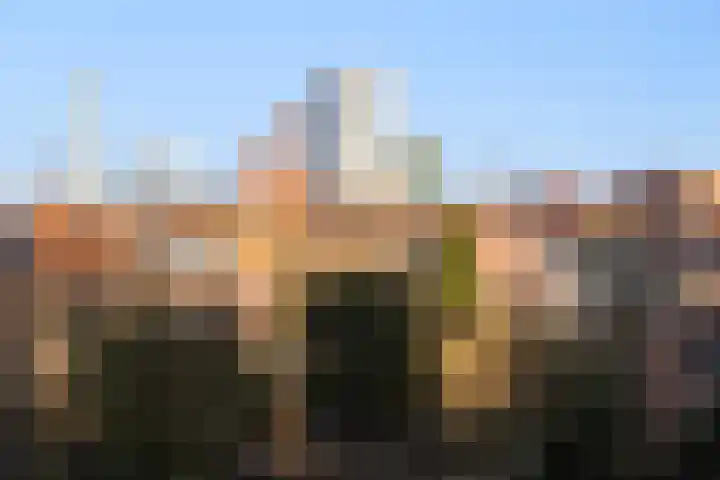 Suze Groeneweglaan 103 Rotterdam thumbnail 16