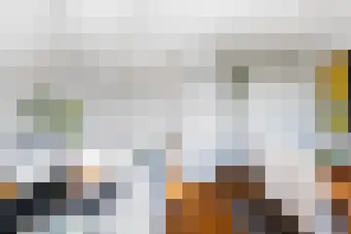 Suze Groeneweglaan 103 Rotterdam thumbnail 17